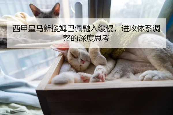 西甲皇马新援姆巴佩融入缓慢，进攻体系调整的深度思考